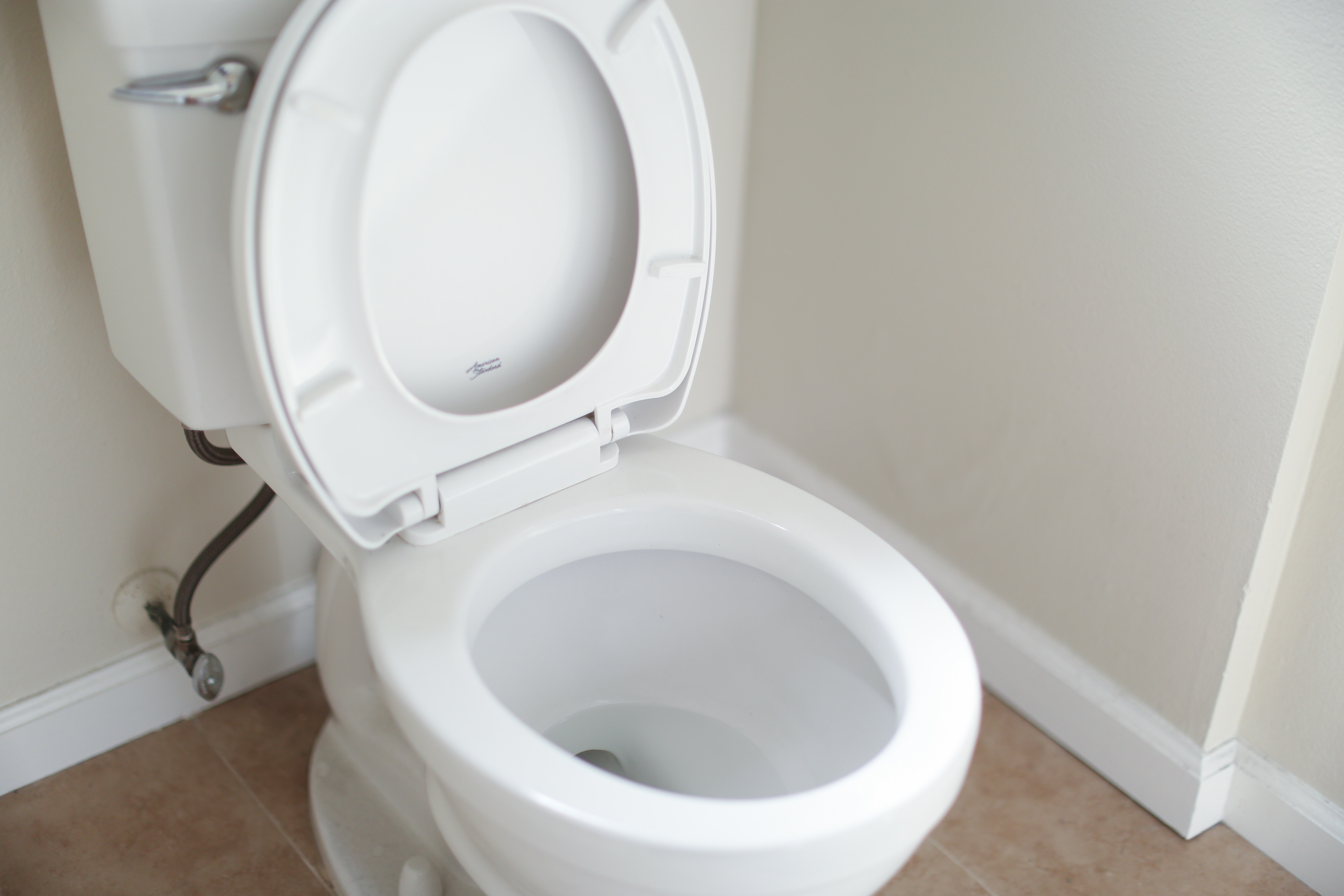 toilet with open lid