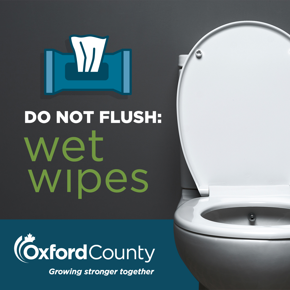 Image with text: Do not flush wet wipes