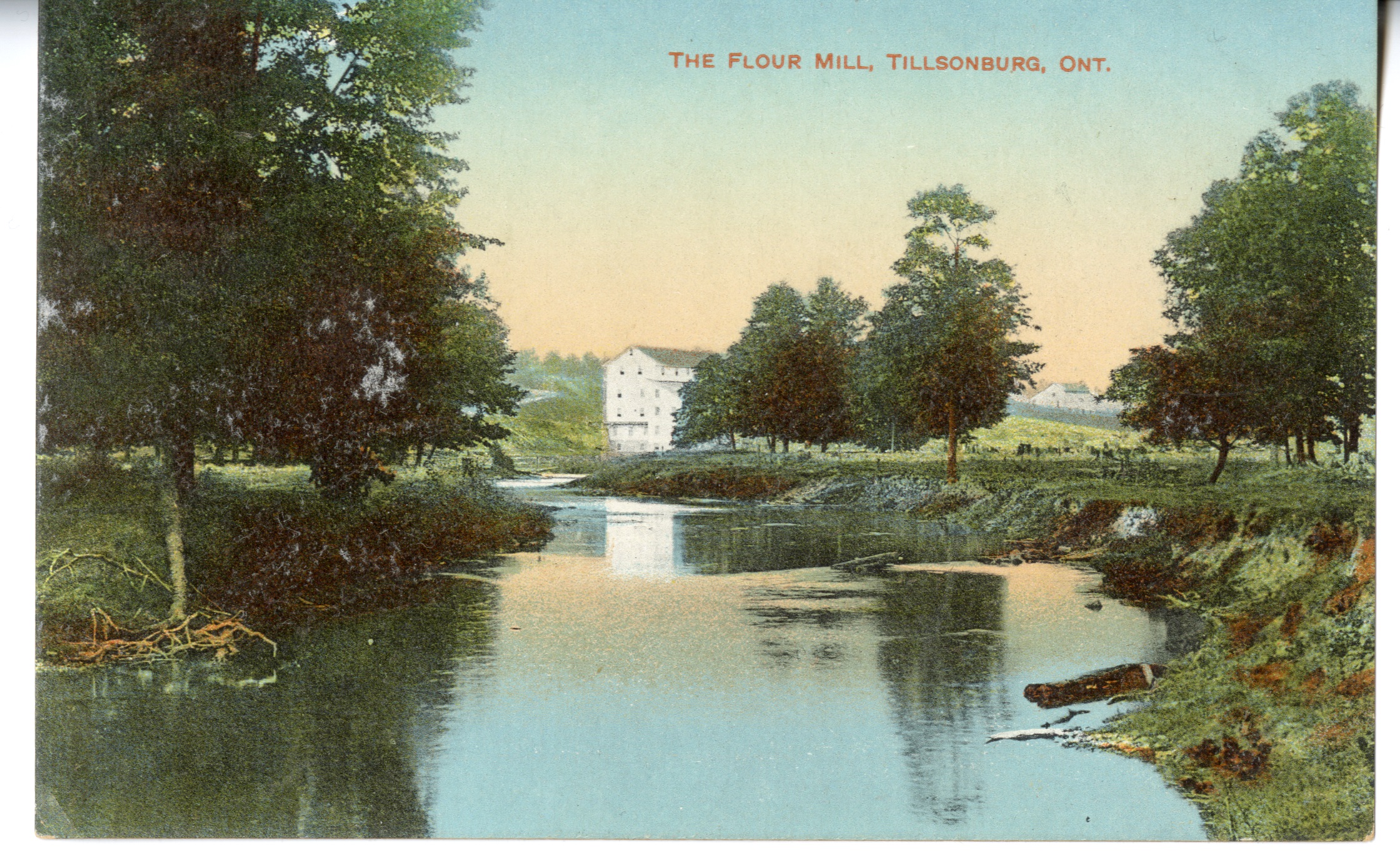 A postcard of the flour mill in Tillsonburg. The mill is white, sitting on the banks of a creek, surrounded by forest.